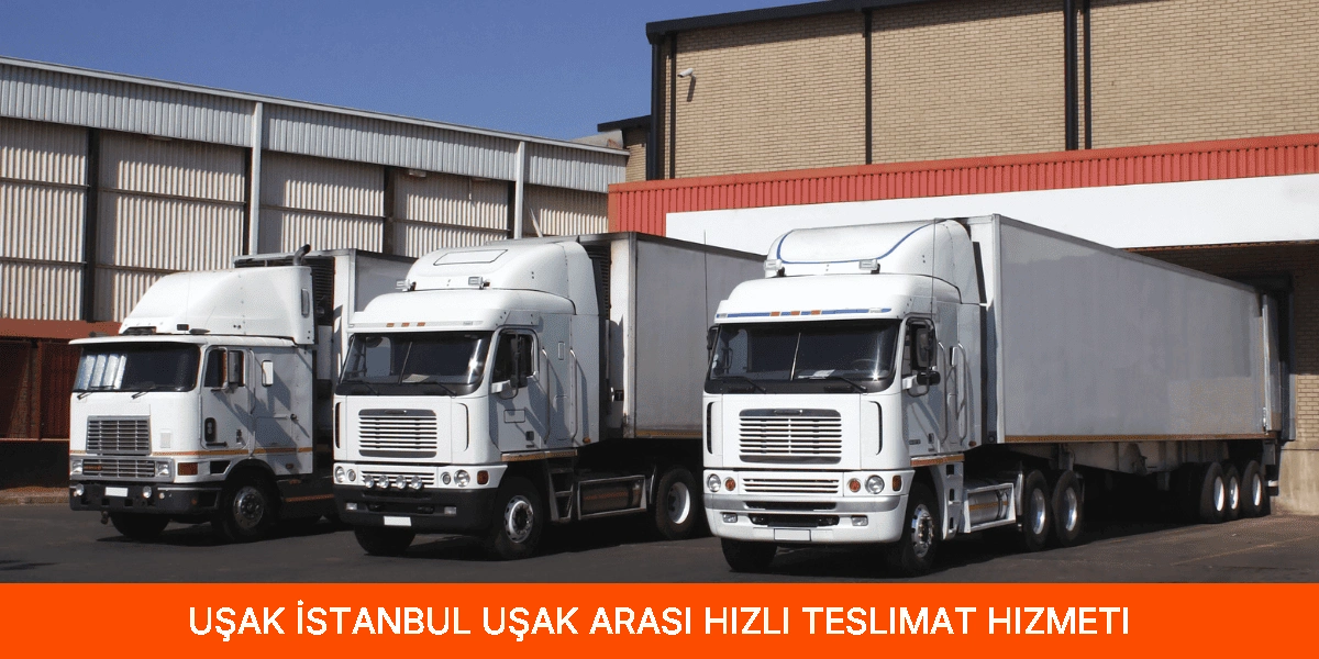 İstanbul Uşak Arası Hızlı Teslimat Hizmeti