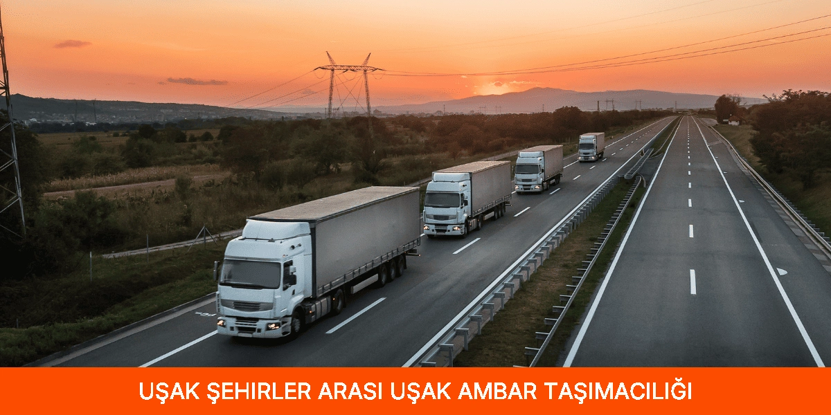 Şehirler Arası Uşak Ambar Taşımacılığı